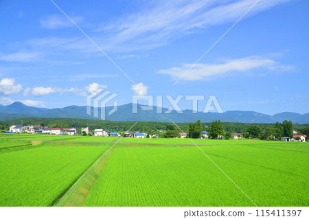 從越後心跳鐵道妙高羽馬線妙高高原站到上越妙高站的車窗看到的景色(2022年夏季) 從越後心跳鐵道妙高羽馬線妙高高原站到上越妙高站的車窗看到的景色(2022年夏季) 115411397
