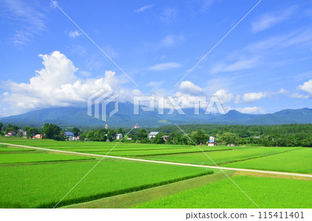 View from the train window on the Echigo Tokimeki Railway Myoko Haneuma Line from Myoko Kogen Station to Joetsu Myoko Station (Summer 2022) 115411401