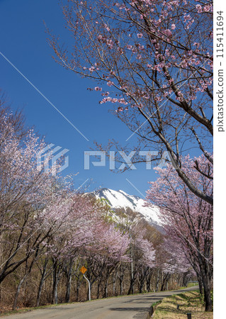 Aomori Prefecture Iwakisan Necklace Road 03 115411694