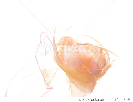 Orange Organza fabric flying in curve shape, Piece of textile orange organza fabric throw fall in air. White background isolated motion blur 115411709