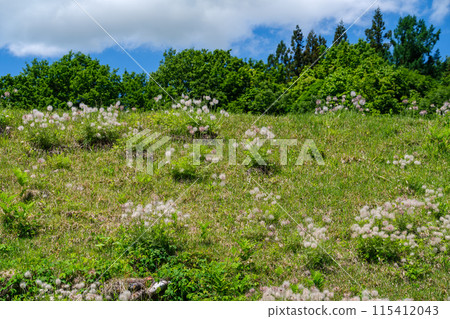 帕斯克和山脊 帕斯克和山脊 115412043