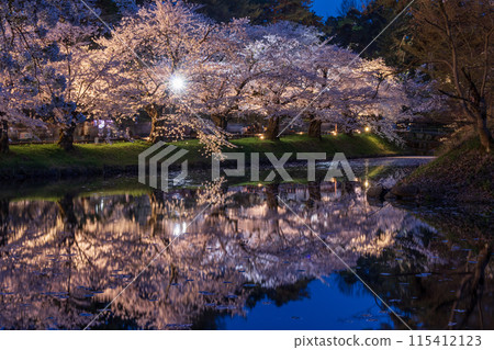 青森縣弘前櫻花祭之夜櫻花03 115412123