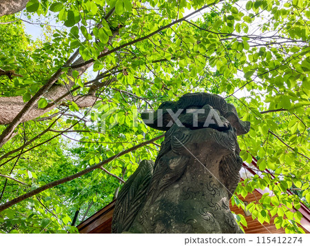 相馬神社,守護獅犬,札幌市豐平區,清新綠意 相馬神社,守護獅犬,札幌市豐平區,清新綠意 115412274
