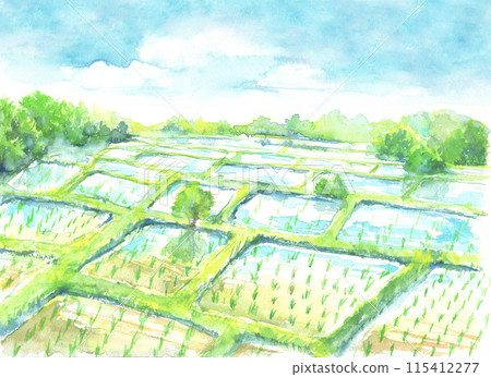 農村稻田景觀畫水彩 農村稻田景觀畫水彩 115412277