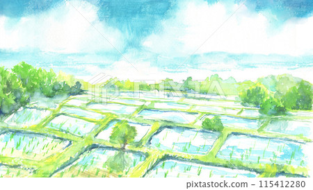 Landscape of rice fields in the countryside painted in watercolor 115412280