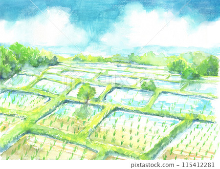 農村稻田景觀畫水彩 115412281