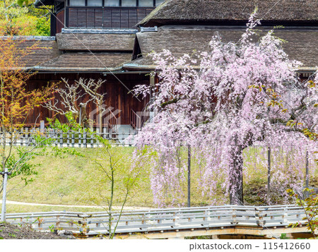 春天的岡山，後樂園、永正橋、櫻花亭的優雅景色 115412660
