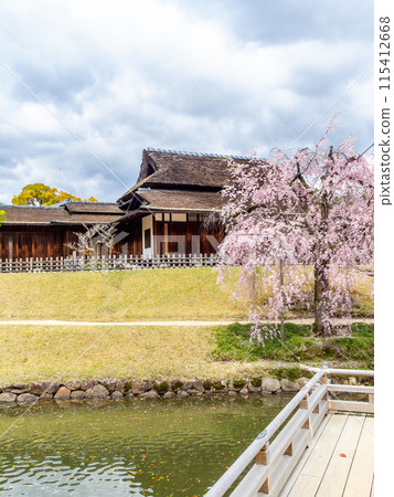 Spring in Okayama: A quaint view of Korakuen Garden, with cherry blossoms blooming at Eishobashi Bridge and Enyotei 115412668