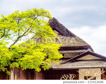 Spring in Okayama: The quaint scenery of Korakuen Garden, fresh greenery and Enyotei 115412686