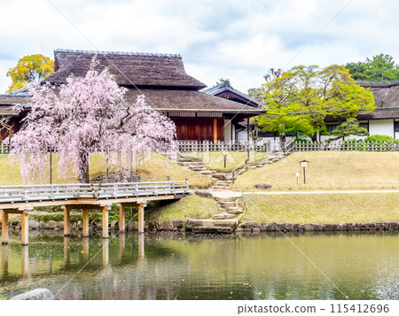 春天的岡山，後樂園、永正橋、櫻花亭的優雅景色 115412696