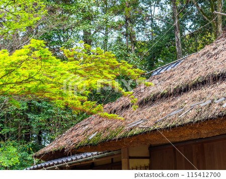 Spring in Okayama: The quaint scenery of Korakuen Garden: Fresh greenery and Moshoan 115412700