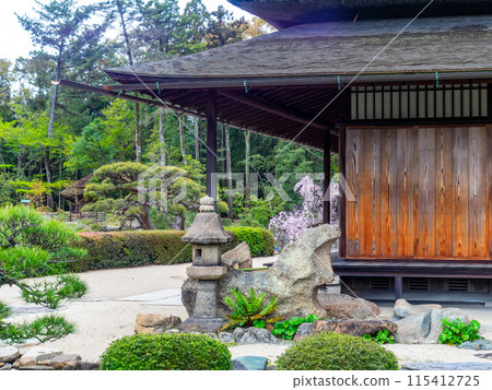 春天的岡山、後樂園的淡雅景色、延養亭的美麗花園 115412725