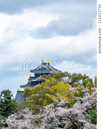 Spring in Okayama: The quaint scenery of Korakuen Garden, cherry blossoms in full bloom and Okayama Castle with a final boss vibe Spring in Okayama: The quaint scenery of Korakuen Garden, cherry blossoms in full bloom and Okayama Castle with a final boss vibe 115412734