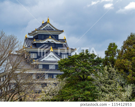春天的岡山，後樂園的大氣風景，盛開的櫻花，還有最終boss感覺的岡山城 115412953