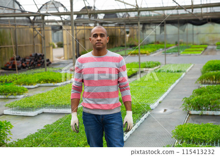Confident successful Hispanic owner of greenhouse indoors Confident successful Hispanic owner of greenhouse indoors 115413232