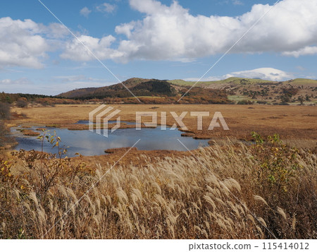 長野縣諏訪郡下詰訪町東俁七島八島之秋 115414012