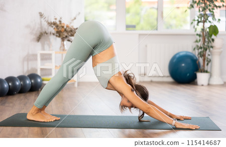 Experienced girl fitness club teacher performs downward facing dog, Adho Mukha Svanasana 115414687