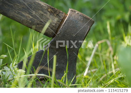 Close-up of an axe embedded in wood surrounded by green grass Close-up of an axe embedded in wood surrounded by green grass 115415279