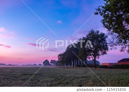 Tranquil countryside morning with trees and pastel sky, creating a beautiful dawn scenery Tranquil countryside morning with trees and pastel sky, creating a beautiful dawn scenery 115415830