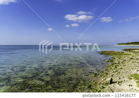 竹富島美麗的珊瑚礁甲斐海灘 115416177