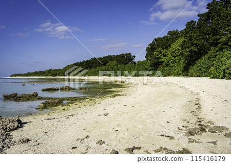 Taketomi Island: Beautiful Kaiji Beach 115416179