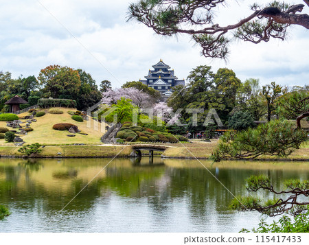 Spring in Okayama: A quaint view of Korakuen Garden, with cherry blossoms and Okayama Castle seen across the pond 115417433