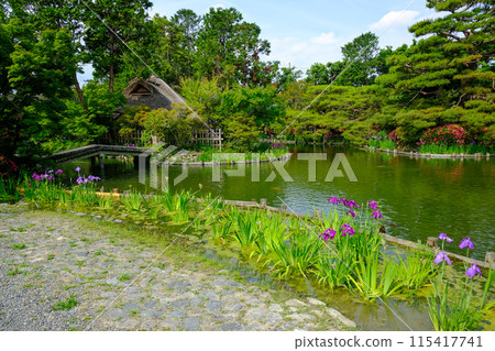 梅宮大社風景 梅宮大社風景 115417741