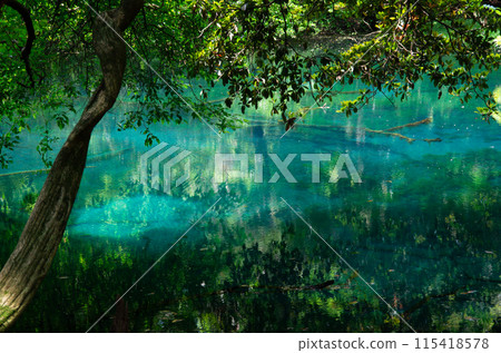 Maruike Pond, a clear pond in Yuza, Yamagata Prefecture 115418578