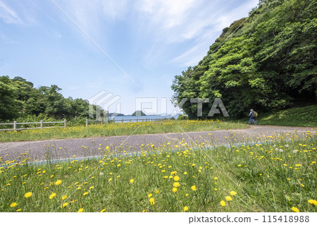 Image of enjoying cycling around Lake Koyama 115418988