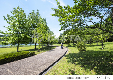 Image of enjoying cycling around Lake Koyama 115419129