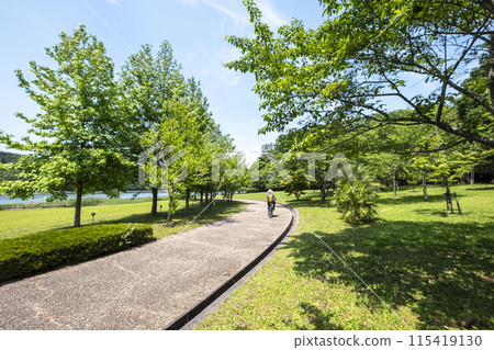 Image of enjoying cycling around Lake Koyama 115419130