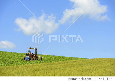 美瑛：田野裡的拖拉機 115419172