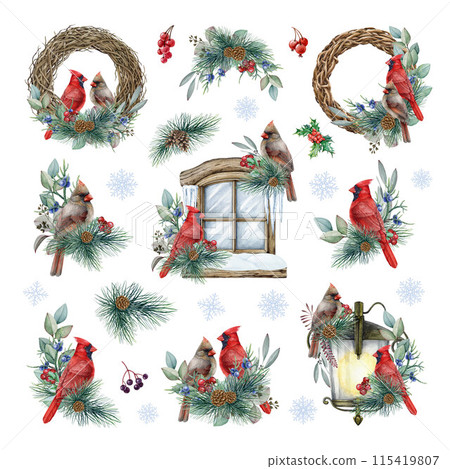 Winter season vintage style decor with cardinal birds set. Watercolor illustration. Painted Christmas decor with red cardinal birds, pine, eucalyptus, snowflakes. Winter decor set on white background 115419807