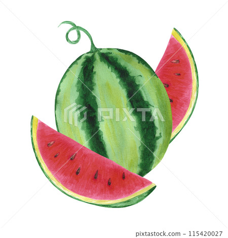 Hand drawn watercolor watermelon with slices composition isolated on white background. Can be used for post card, label, scrapbook and other printed products. Hand drawn watercolor watermelon with slices composition isolated on white background. Can be used for post card, label, scrapbook and other printed products. 115420027