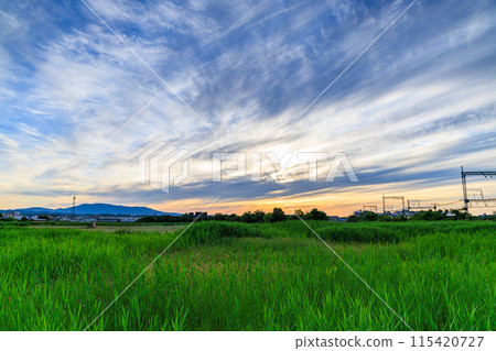 Evening view of the Suzakumon Square at the Heijo-kyo site in Nara. The sunset sky spreading over Mount Ikoma beyond the reed fields and the Kintetsu Nara Line① 115420727
