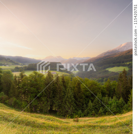 Meadow with road and bench during sunset in Berchtesgaden National Park Meadow with road and bench during sunset in Berchtesgaden National Park 115420781