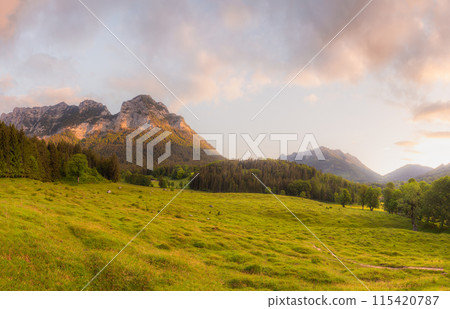 Meadow with road and bench during sunset in Berchtesgaden National Park Meadow with road and bench during sunset in Berchtesgaden National Park 115420787