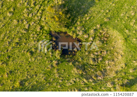 Aerial view of green pasture with small natural drinking ponds for buffalos and farm animals 115420887