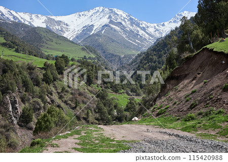 Idyllic journey through serene mountain valley path, amidst snow-capped peaks 115420988