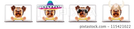 Funny dogs sitting inside laptop in different hats and sunglasses. Funny dogs sitting inside laptop in different hats and sunglasses. 115421022