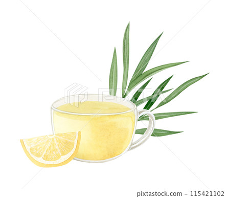 Herbal ginger tea with lemon and green leaves in glass cup watercolor illustration isolated on white background. Hot beverage of organic ingredients against flu and cold Herbal ginger tea with lemon and green leaves in glass cup watercolor illustration isolated on white background. Hot beverage of organic ingredients against flu and cold 115421102