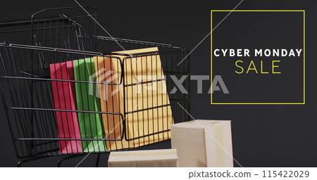 Image of cyber monday sale text over shopping trolley 115422029