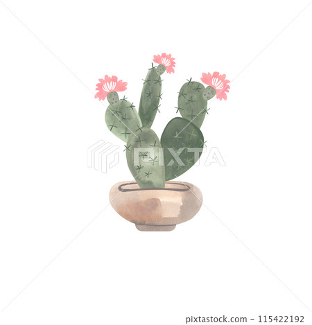 Cactus in a wide light concrete pot. Plants for the home. Floriculture. Interior decoration. Isolated watercolor illustration on white background. Clipart. 115422192