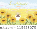 Sunflower background 115423075