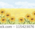 Sunflower background 115423076