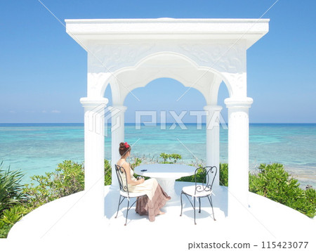 一個女人在美麗的熱帶海灘上放鬆 115423077