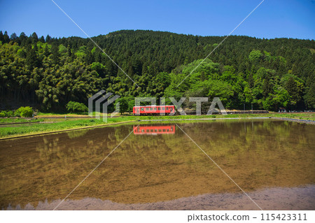 Ichijodani, the arrival of spring at the ruins of Nishiyama Koshoji Temple 115423311