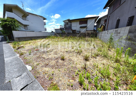 Vacant lot in a residential area Vacant lot in a residential area 115423516