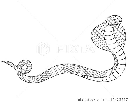 Cobra line drawing illustration material Cobra line drawing illustration material 115423517