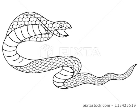 Cobra line drawing illustration material Cobra line drawing illustration material 115423519